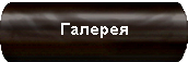 Галерея Галерея