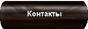 Контакты Контакты